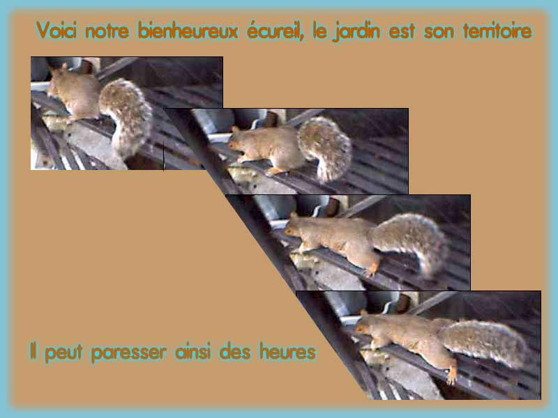 O13